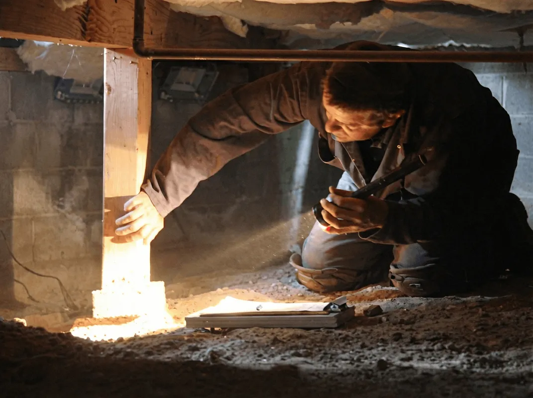 A professional inspecting wooden beams under the floor of a structure in Nashua, NH